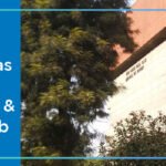 Sri Guru Ram Das Institute of Dental Sciences Amritsar Cut off 2024-25 (updated)
