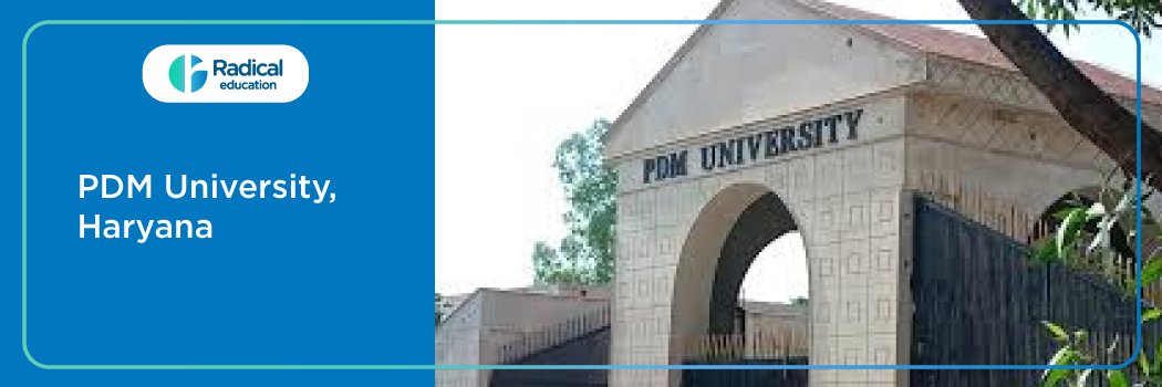 PDM University, Bahadurgarh