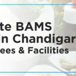 Top Private BAMS Colleges in Chandigarh